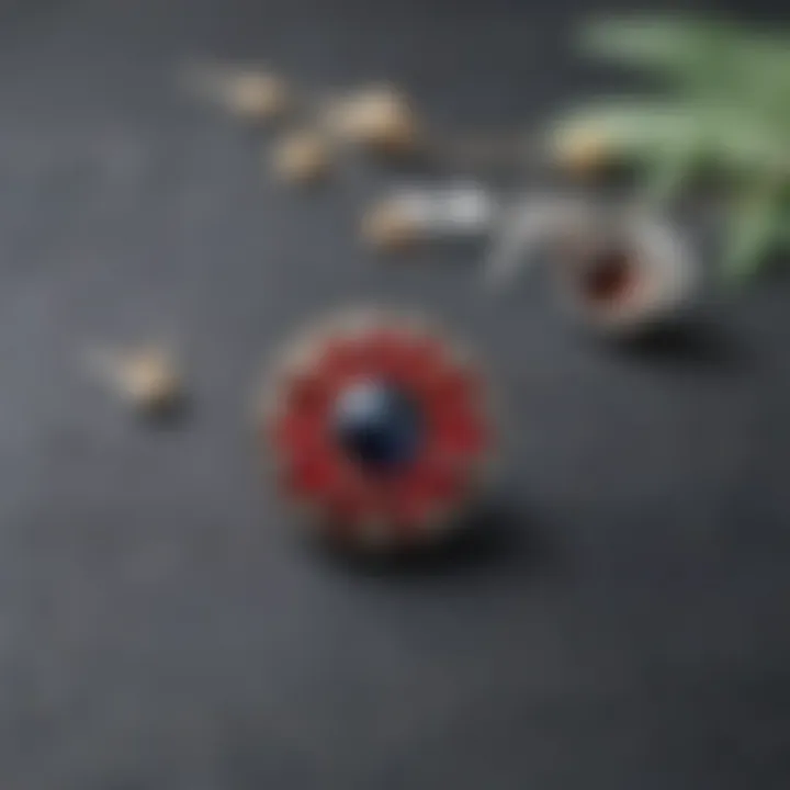 Sustainable fashion featuring magnetic brooch pins