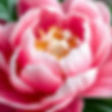 Close-up of detailed craftsmanship in artificial peony petals