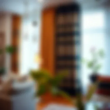 Variety of boho curtain holdbacks displayed in a stylish interior