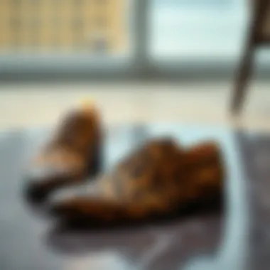 Elegance in Cheetah Print A pair of elegant cheetah print dress shoes on a stylish surface