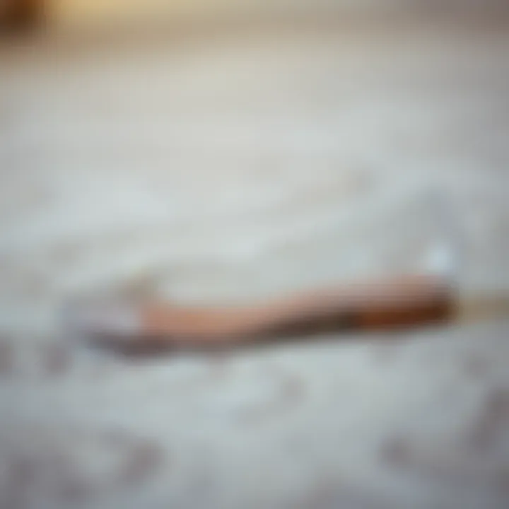 Elegant Side Profile A side view of clear flat shoes with rhinestones placed elegantly on a textured surface.