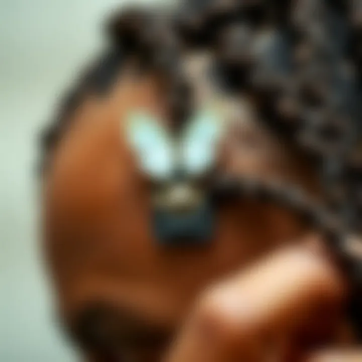 Caring for Dreadlock Clips A guide illustrating the care and maintenance of dreadlock clips