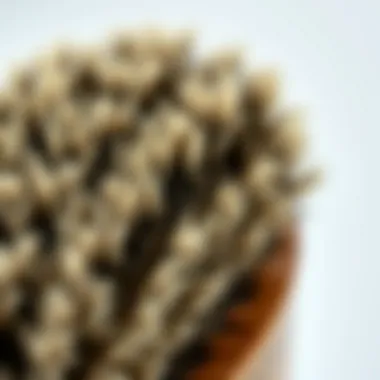 Natural Texture of Boar Bristles Close-up of boar bristles demonstrating their natural texture.