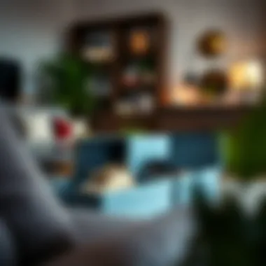 Stylish Shoe Boxes in Modern Decor Stylish shoe boxes in a modern living room setting