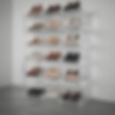 Design Versatility of Clear Shoe Storage Boxes An aesthetically pleasing arrangement of clear shoe boxes highlighting their design versatility.