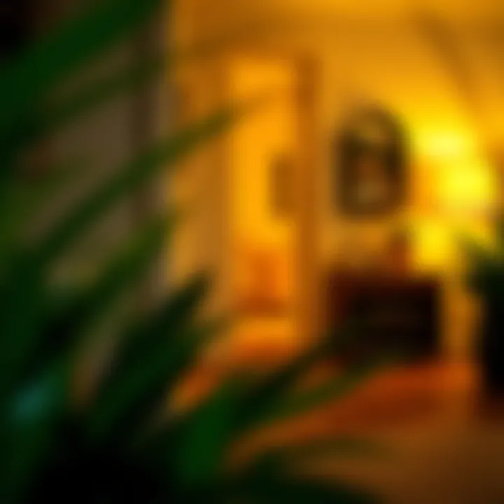 Cozy home environment with a door draft stopper in action