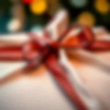 Close-up of drawstring ribbon detail on a luxurious gift bag