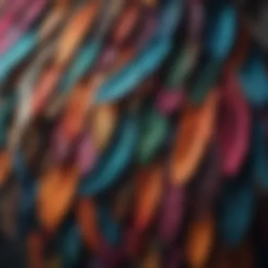 Close-up of colorful feathers used in wall hanging craftsmanship