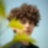 Elegant brown curly wig showcasing natural texture