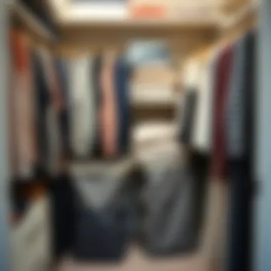 Efficient Closet Organization An organized closet with cloth storage bags with zippers maximizing space and efficiency.
