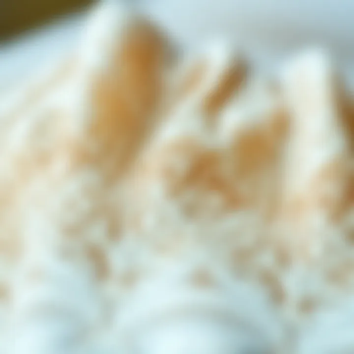 Close-up of intricate lace detailing on fabric