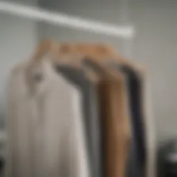 Elegant non-slip pant hangers in a stylish wardrobe