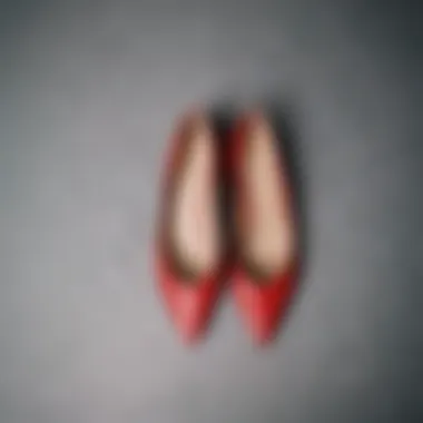 Showcase of elegant red leather pointed toe flats on a minimalist background