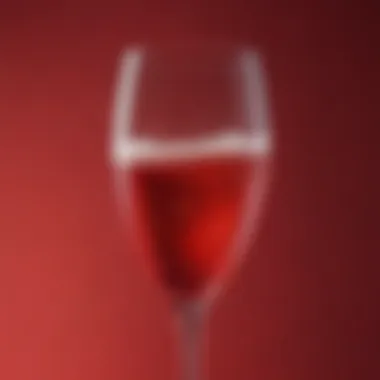 Close-up of red plastic champagne glass filled with bubbly drink