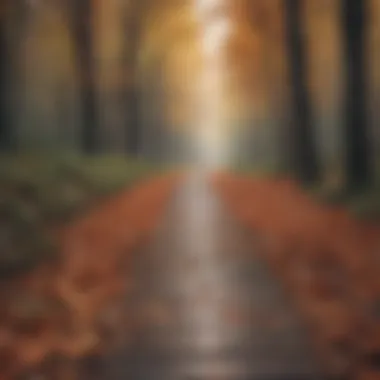 Serene forest pathway adorned with autumn leaves