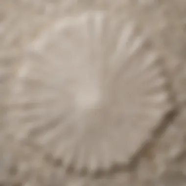 Close-up view of unique textures of shell-shaped rug