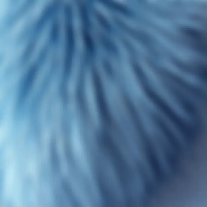 Textural Detail of Synthetic Hair Feathers Close-up of synthetic hair feathers showcasing texture