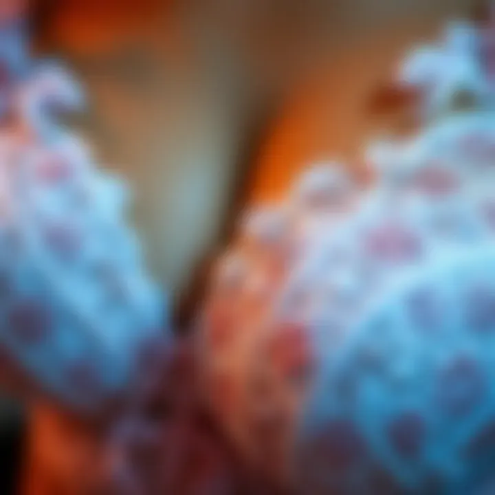 Close-up of intricate embroidery on lingerie