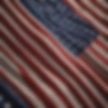 Close-up of fabric texture showcasing the American flag print