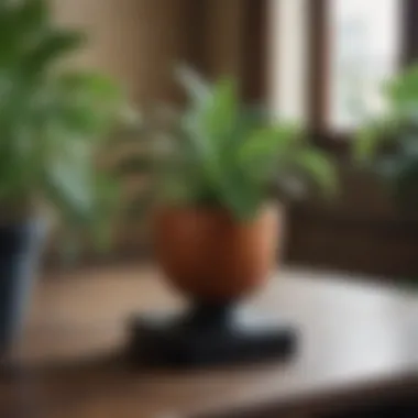 Creativity in Plant Display DIY plant pedestal made from repurposed materials