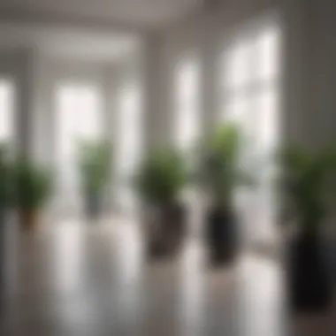 Harmonious Indoor Spaces Stylish modern interior featuring multiple plant pedestals