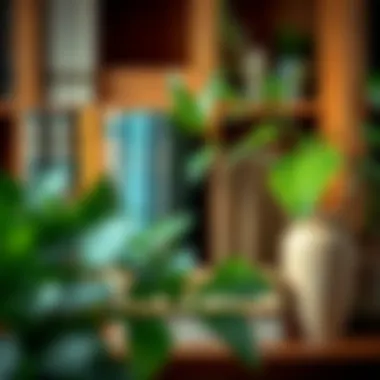 Artistic Arrangement of Decorative Books and Greenery An artistic arrangement of decorative books and plants