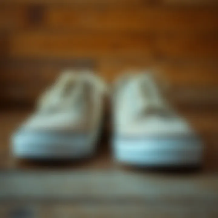 The Art of Maintaining Classic Canvas Shoes Close-up of a well-maintained pair of canvas shoes on a wooden surface