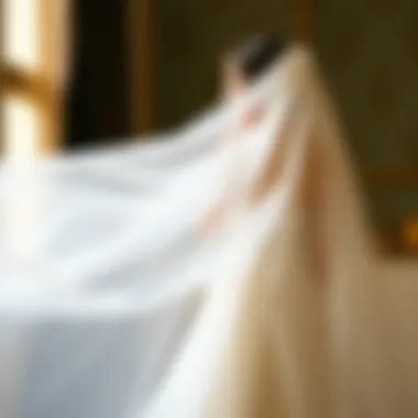 The Elegance of Minimalism Elegant minimalist wedding veil draping gracefully over a bridal gown