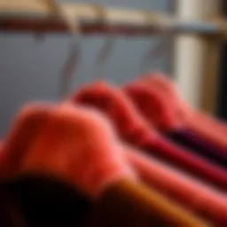 Elegant display of Mizgi premium velvet hangers showcasing their plush texture