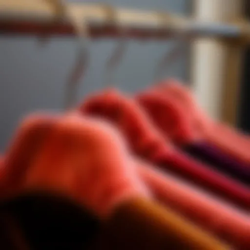 Elegant display of Mizgi premium velvet hangers showcasing their plush texture