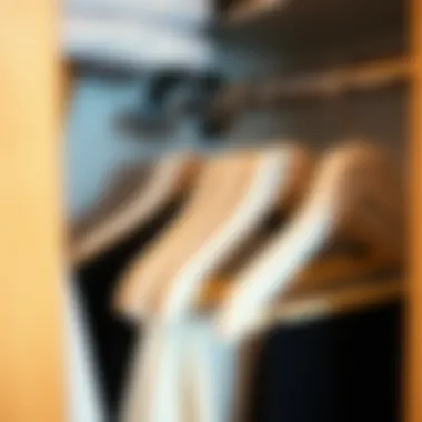 Organized Wardrobe with Flocked Hangers Organized closet featuring flocked non-slip hangers in use