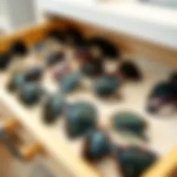 Sunglasses organized in a stylish drawer system