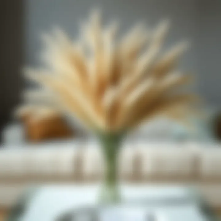 Elegant pampas grass arrangement in a modern vase