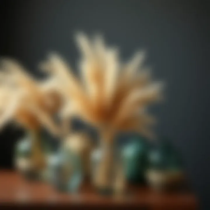 A collection of diverse vases suitable for pampas grass