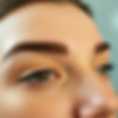 A close-up of perfectly shaped eyebrows showcasing various techniques