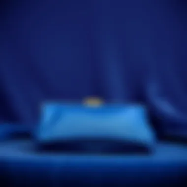 An elegant royal blue clutch placed on a velvet background