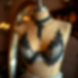 Elegant sheer fantasy lingerie displayed on a vintage mannequin