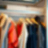 Stylish Garment Organization Elegant stackable hangers displaying a variety of garments