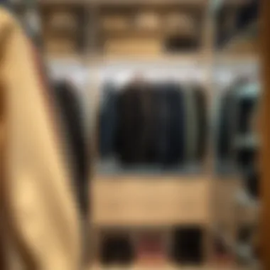 Stylish closet with transparent storage solutions enhancing fashion visibility