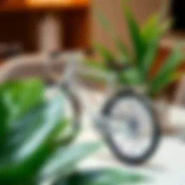 Minimalist bicycle decor showcasing clean lines and modern aesthetics