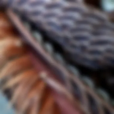 Intricate Feather Detailing Close-up of intricate feather detailing on a scarf