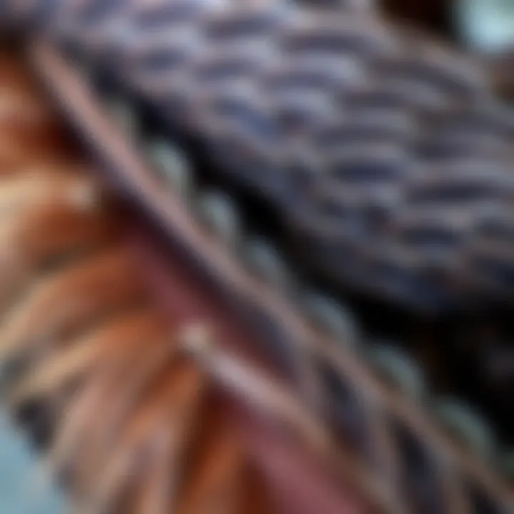 Intricate Feather Detailing Close-up of intricate feather detailing on a scarf