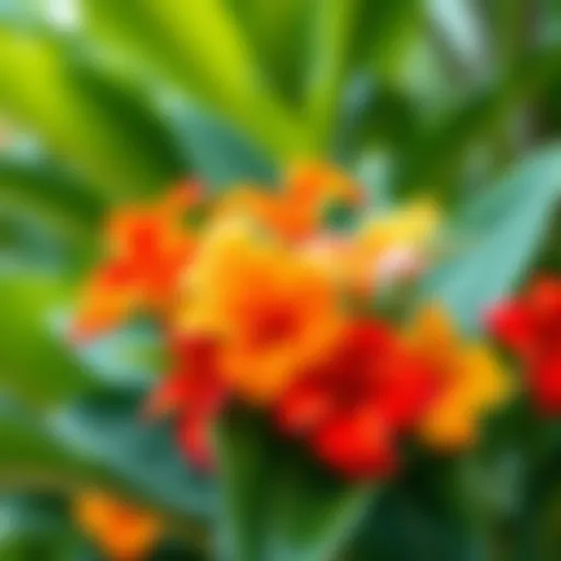 Vibrant Colors of Hawaiian Florals A beautiful array of Hawaiian flowers showcasing vibrant colors