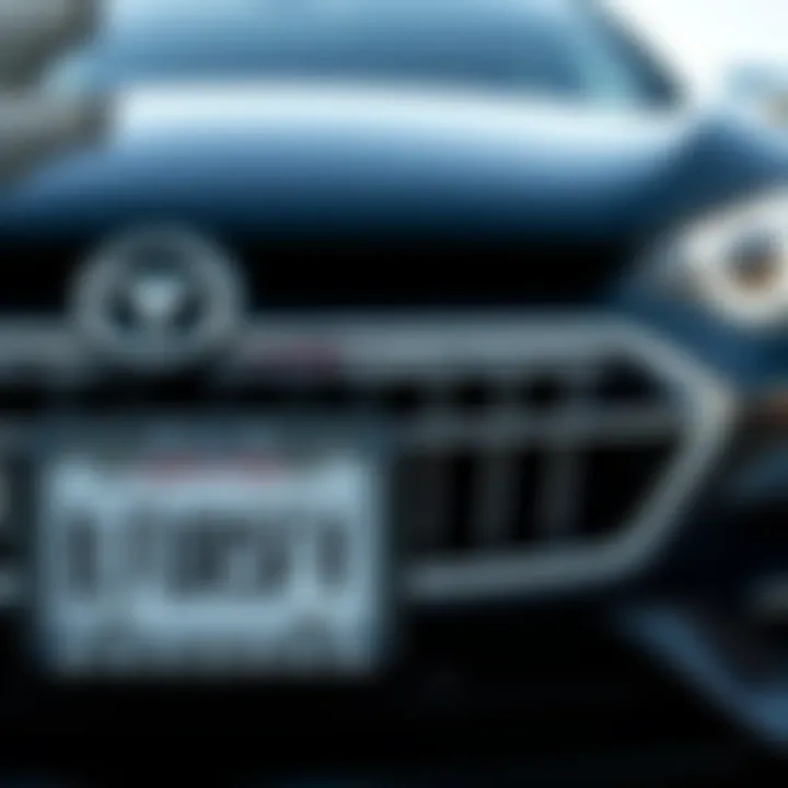 Stylish Car Features Jeweled Frame A stylish car showcasing a jeweled license plate frame