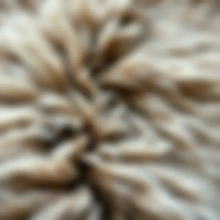 Close-up of rabbit fur detailing emphasizing craftsmanship