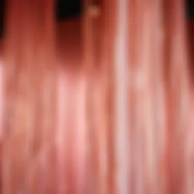 Rose Gold Fringe Curtains Enhancing an Event Space with Glamour Rose gold fringe curtains enhancing an event space with glamour