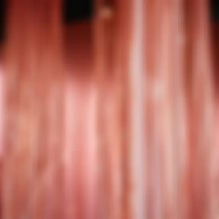 Rose Gold Fringe Curtains Enhancing an Event Space with Glamour Rose gold fringe curtains enhancing an event space with glamour