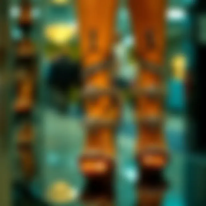 Stylish Strappy Heels on Display Close-up of stylish strappy heels on display