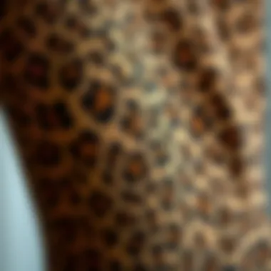 Intricate Fabric Patterns of Leopard Bodysuit Close-up of the intricate fabric patterns of the leopard bodysuit, highlighting its texture.