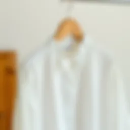 Elegant display of a classic white blouse on a wooden hanger, showcasing its fabric texture.
